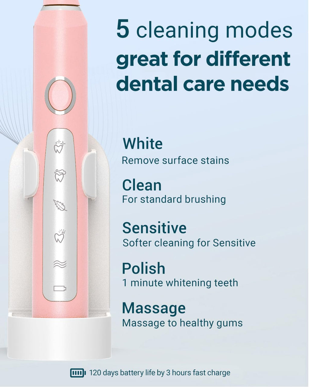 2 Pack Rechargeable Electric Toothbrush with 12 Brush Heads & 2 Travel Case Y3844