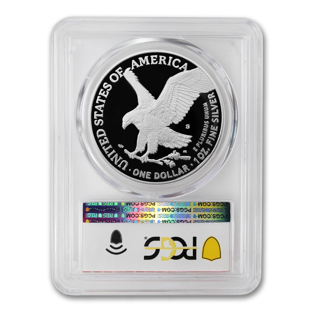 1 oz American Silver Eagle Coin N8271