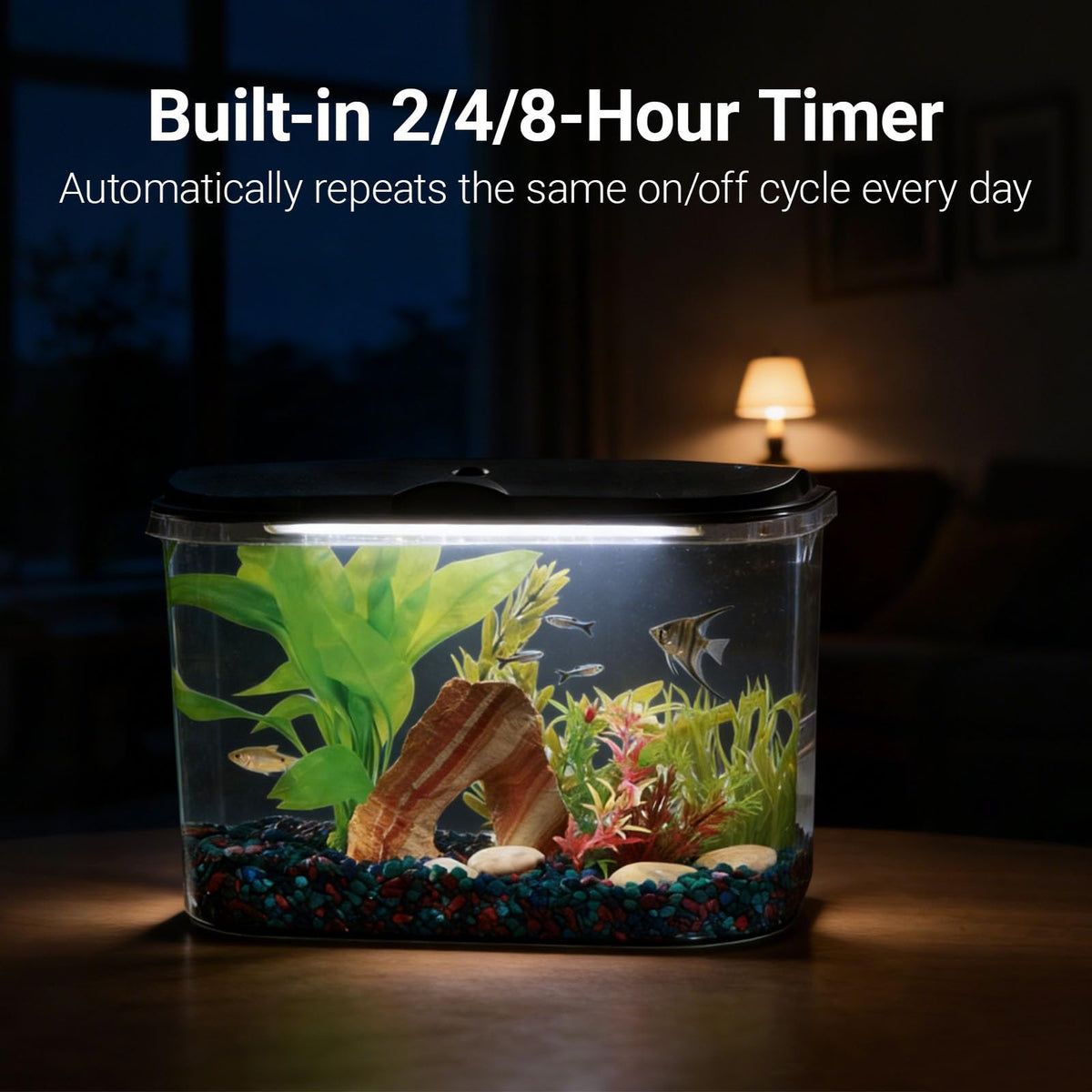 5-Gallon Aquarium Kit with LED Lighting and Power Filter C84419