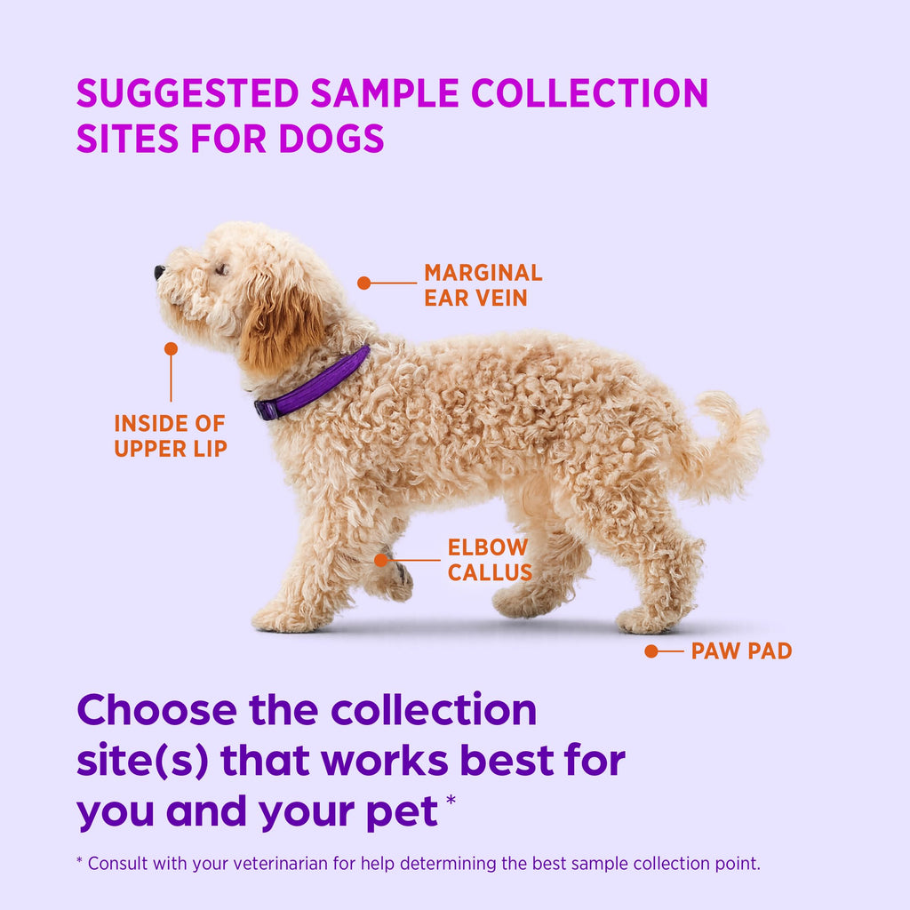 Test Strips for Diabetic Dogs, Cats & Horses, 50 Count I11568