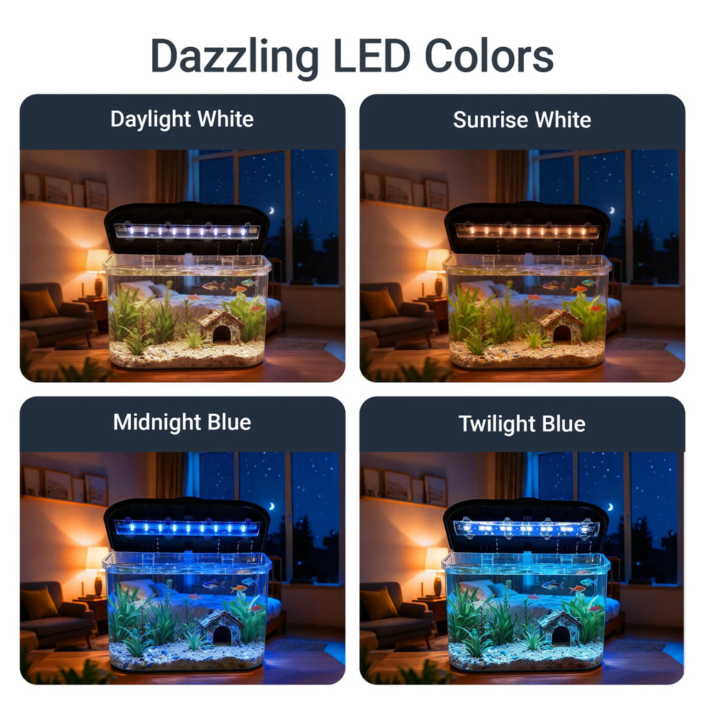 5-Gallon Aquarium Kit with LED Lighting and Power Filter C84419