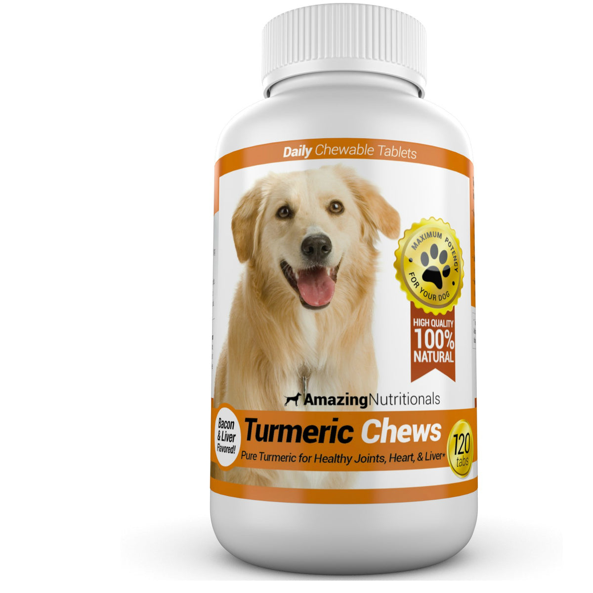 Turmeric Probiotics for Dogs Digestive Health Bundle G6317