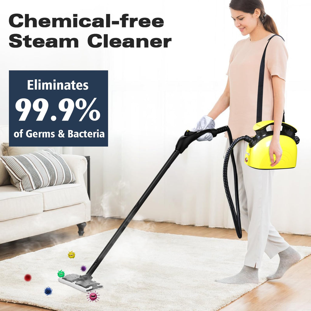 Multipurpose Steam Cleaner with 21 Accessories H35319