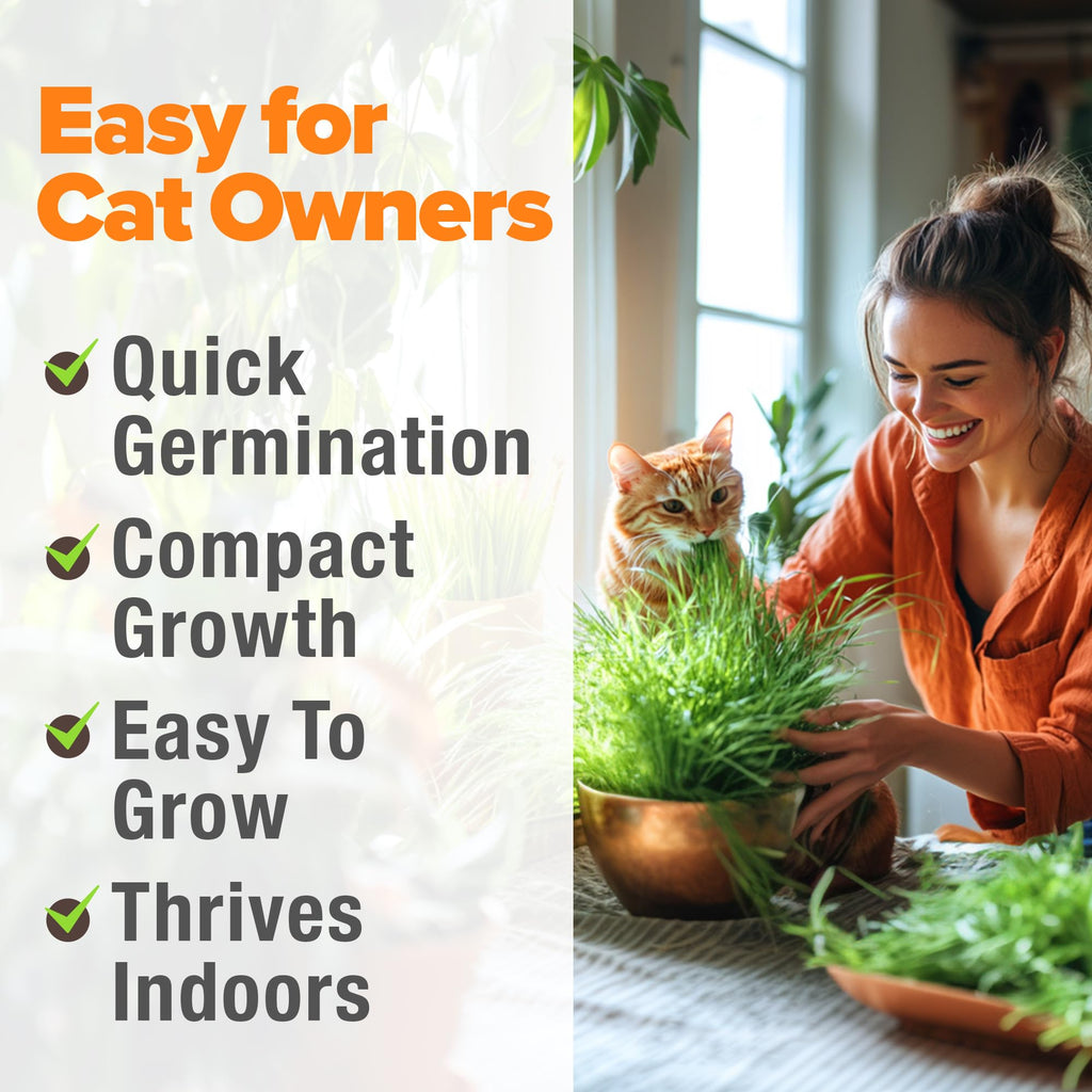 6 oz Heirloom Barley & Oat Cat Grass Seeds V685