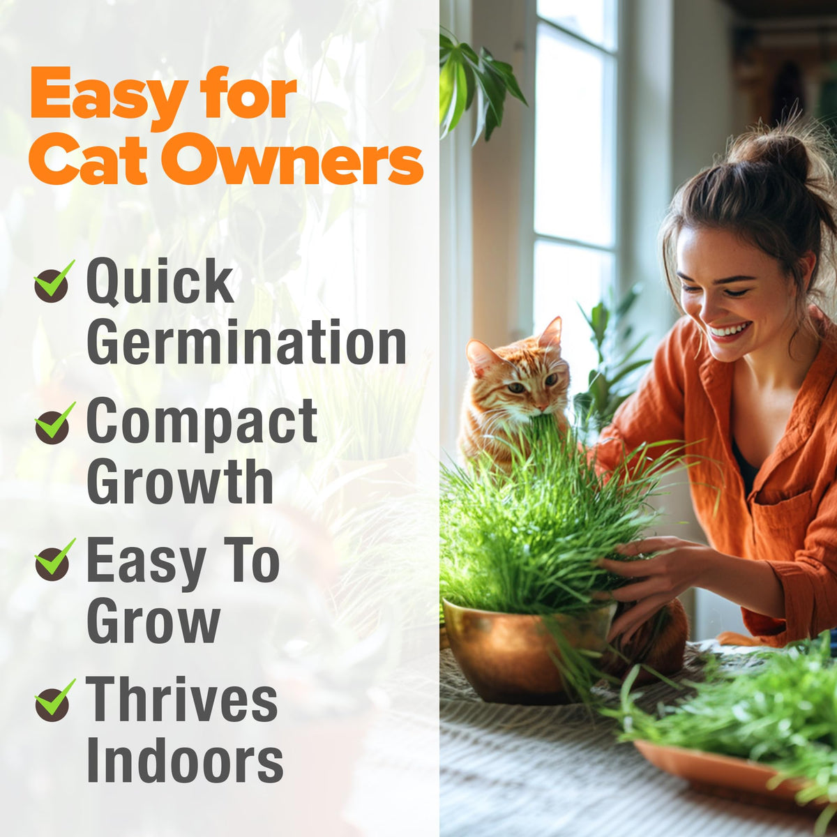 6 oz Heirloom Barley & Oat Cat Grass Seeds V685