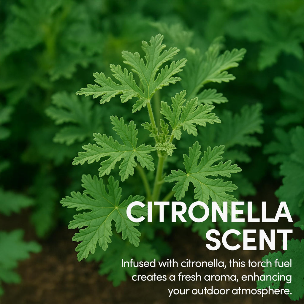 Citronella Torch Fuel 1 Gallon Pack of 2 E241849