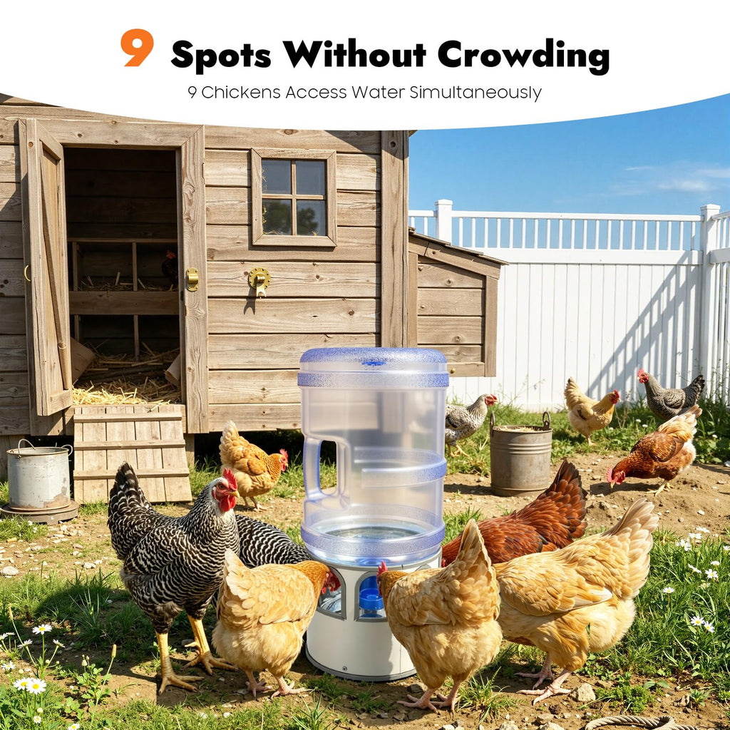 5 Gal Heated Chicken Waterer 80W Adjustable Temperature P4313