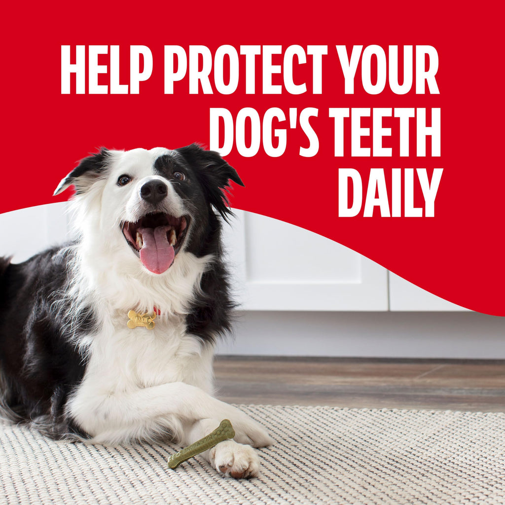Small/Medium Fresh Flavor Dental Treats I715