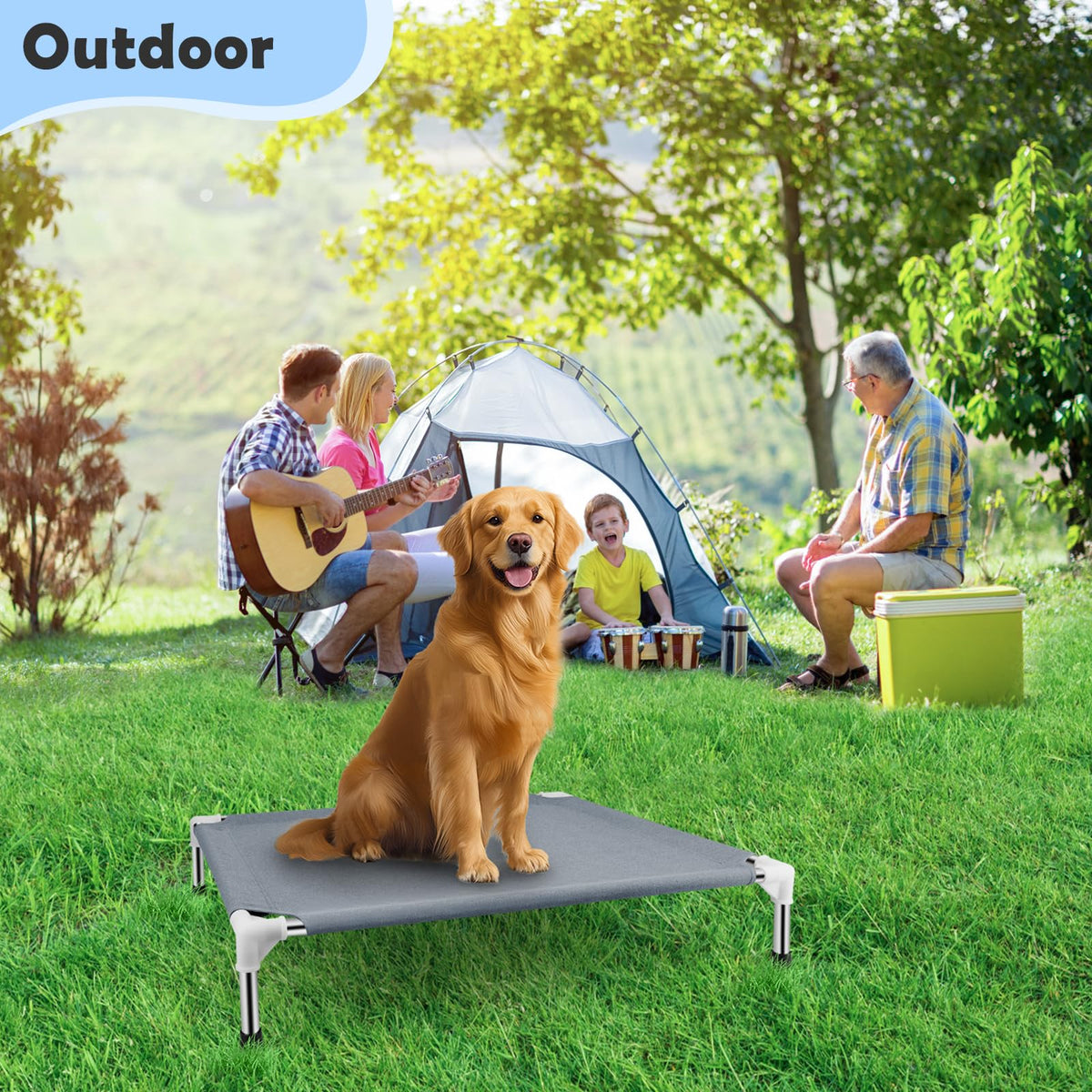 Elevated Raised Dog Bed M137029