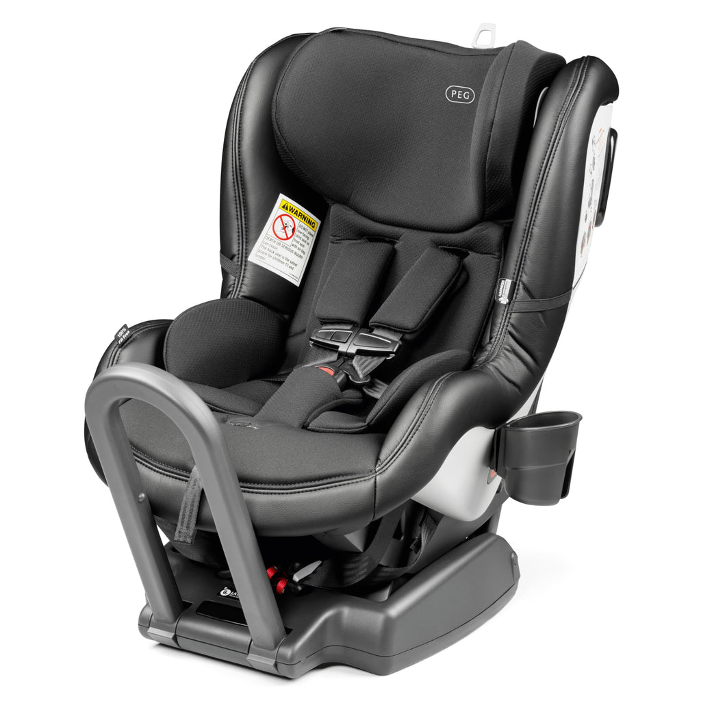 Reversible Convertible Car Seat L1179