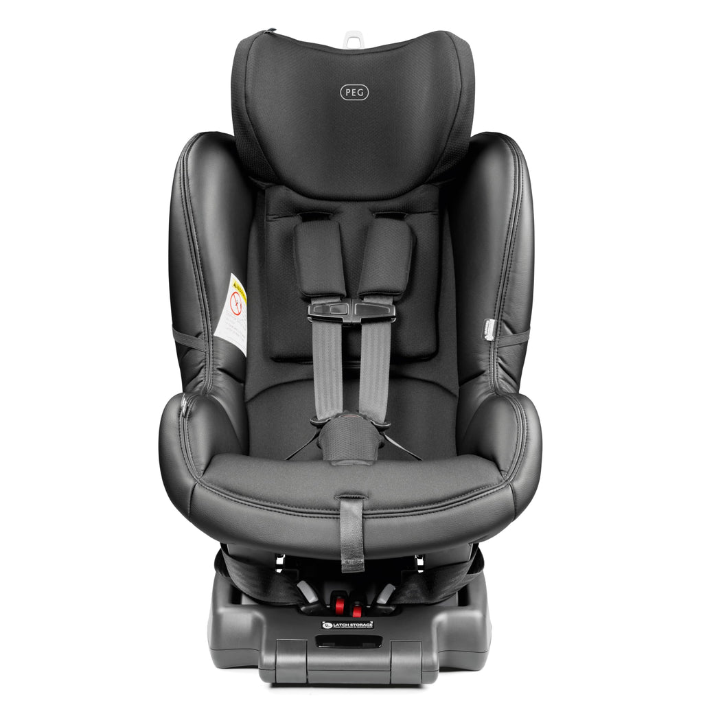Reversible Convertible Car Seat L1179