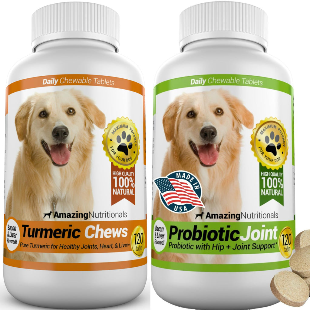 Turmeric Probiotics for Dogs Digestive Health Bundle G6317