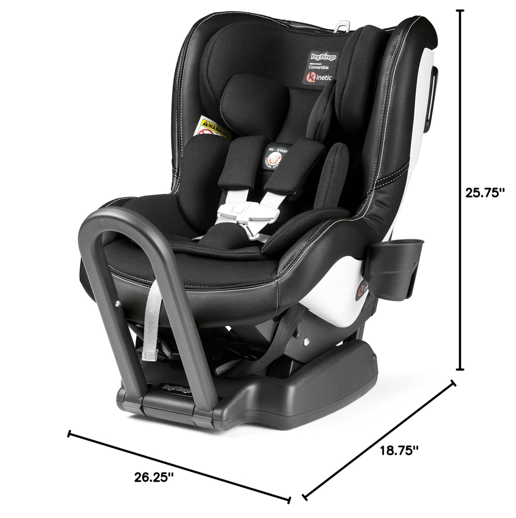 Reversible Convertible Car Seat L1179