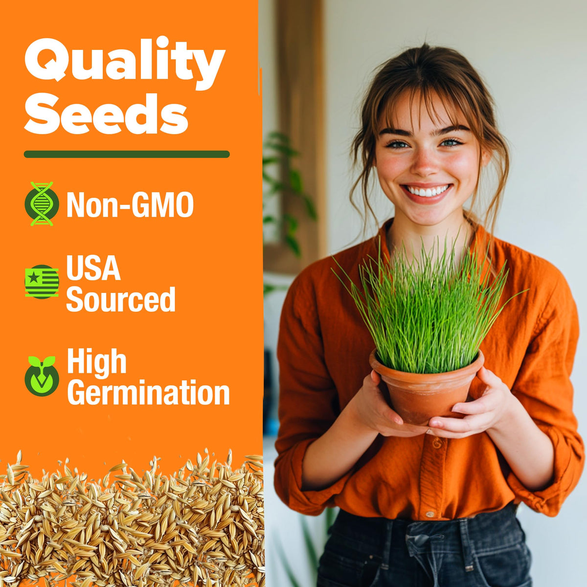 6 oz Heirloom Barley & Oat Cat Grass Seeds V685