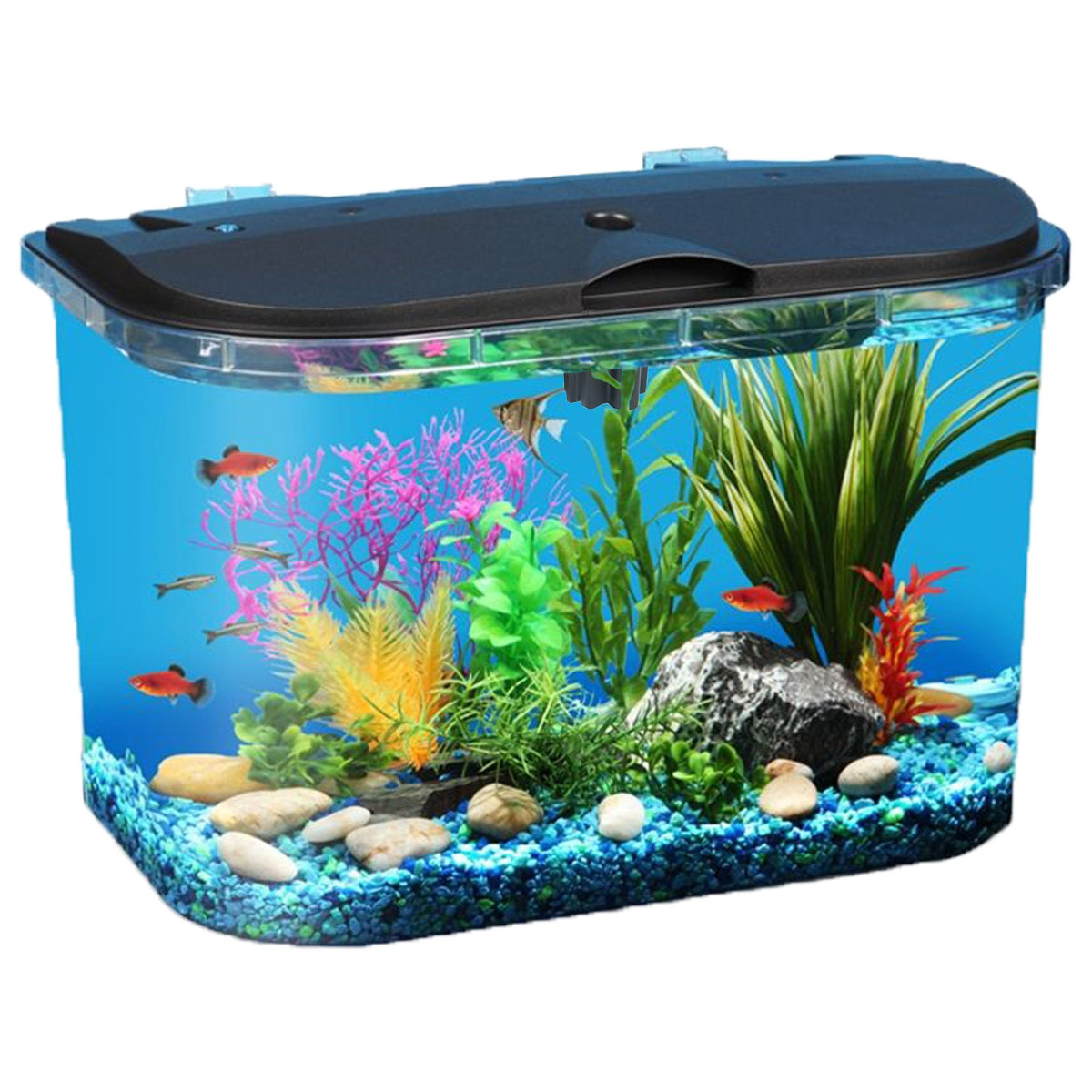 5-Gallon Aquarium Kit with LED Lighting and Power Filter C84419