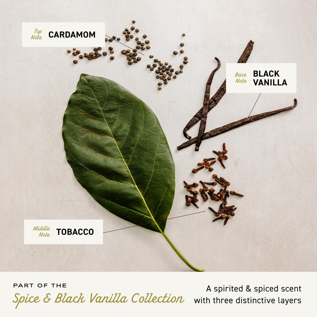 Spice & Black Vanilla Cologne Spray 3.4 Fl Oz X415242