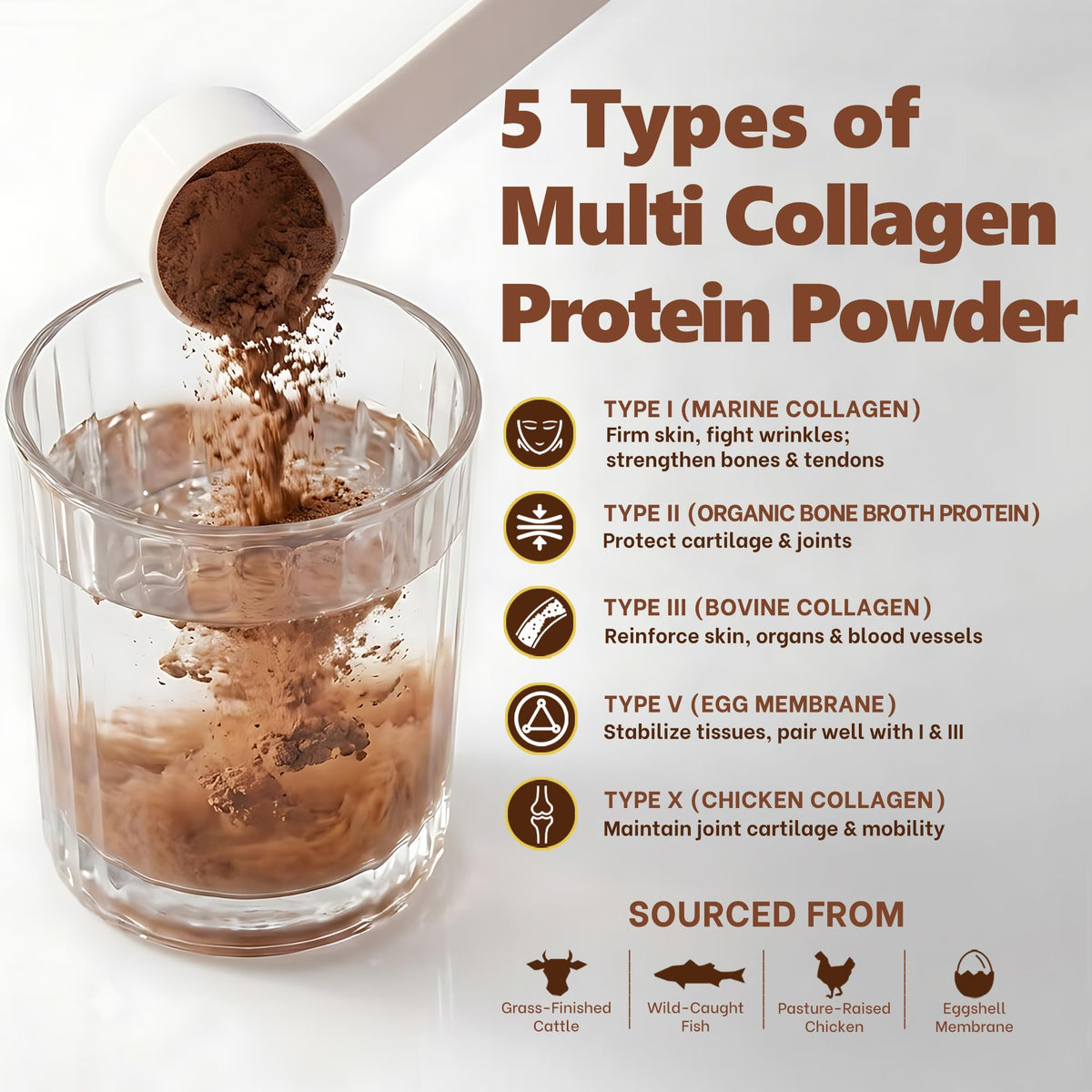 Multi Collagen Peptides Protein Powder, Chocolate, 1LB A21790