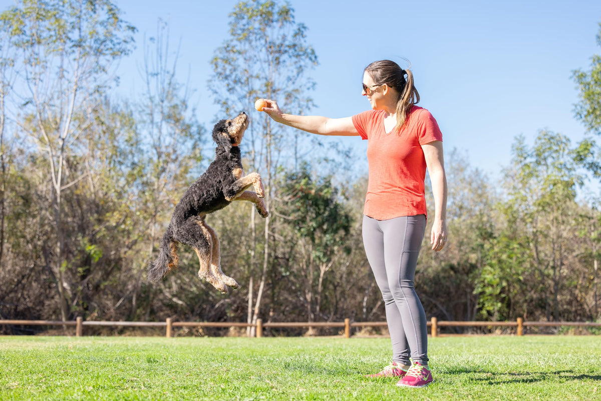 Medium Fetch Ball U12099
