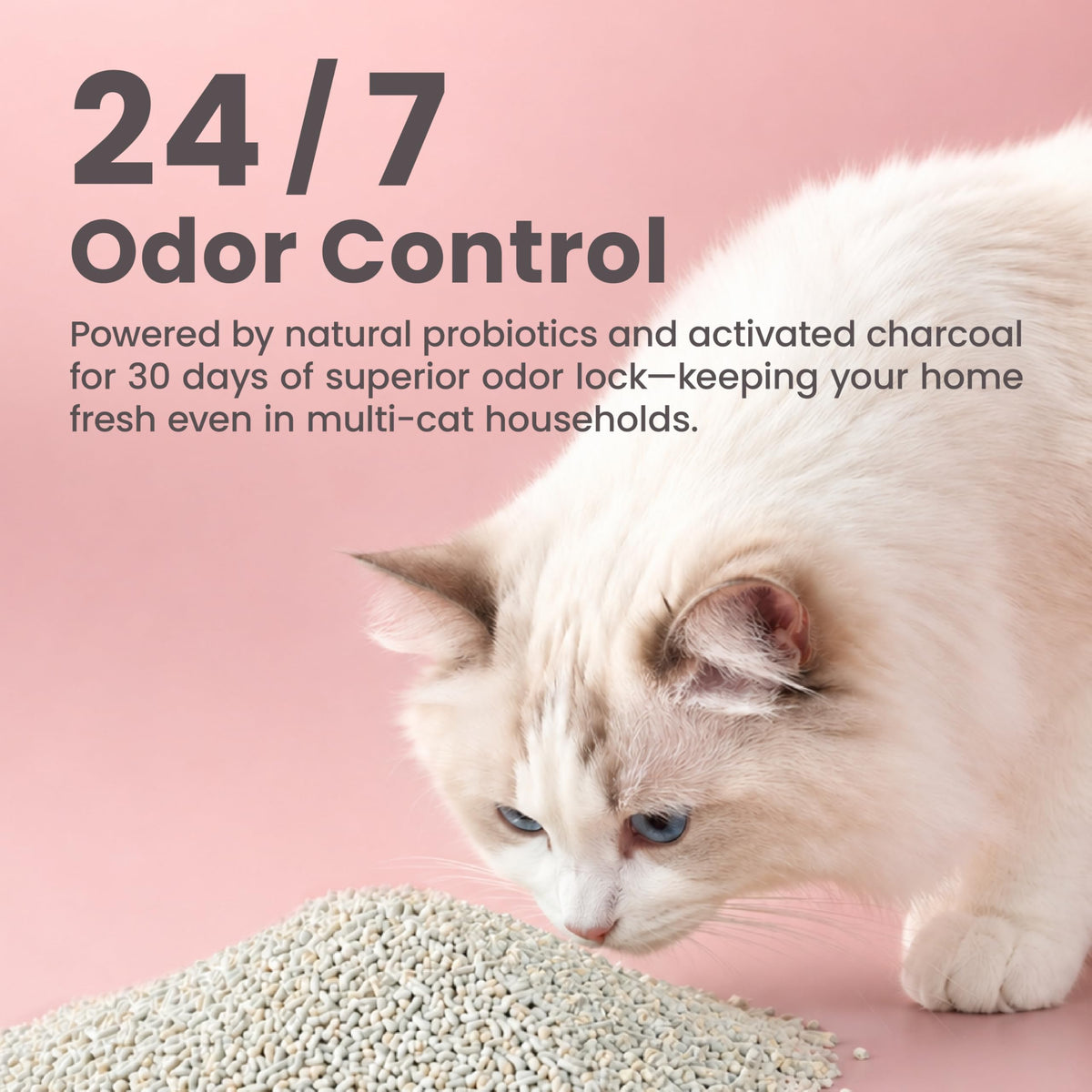 Pellet Tofu Cat Litter, Strong Clumping, Low Tracking Unscented 18lb H357