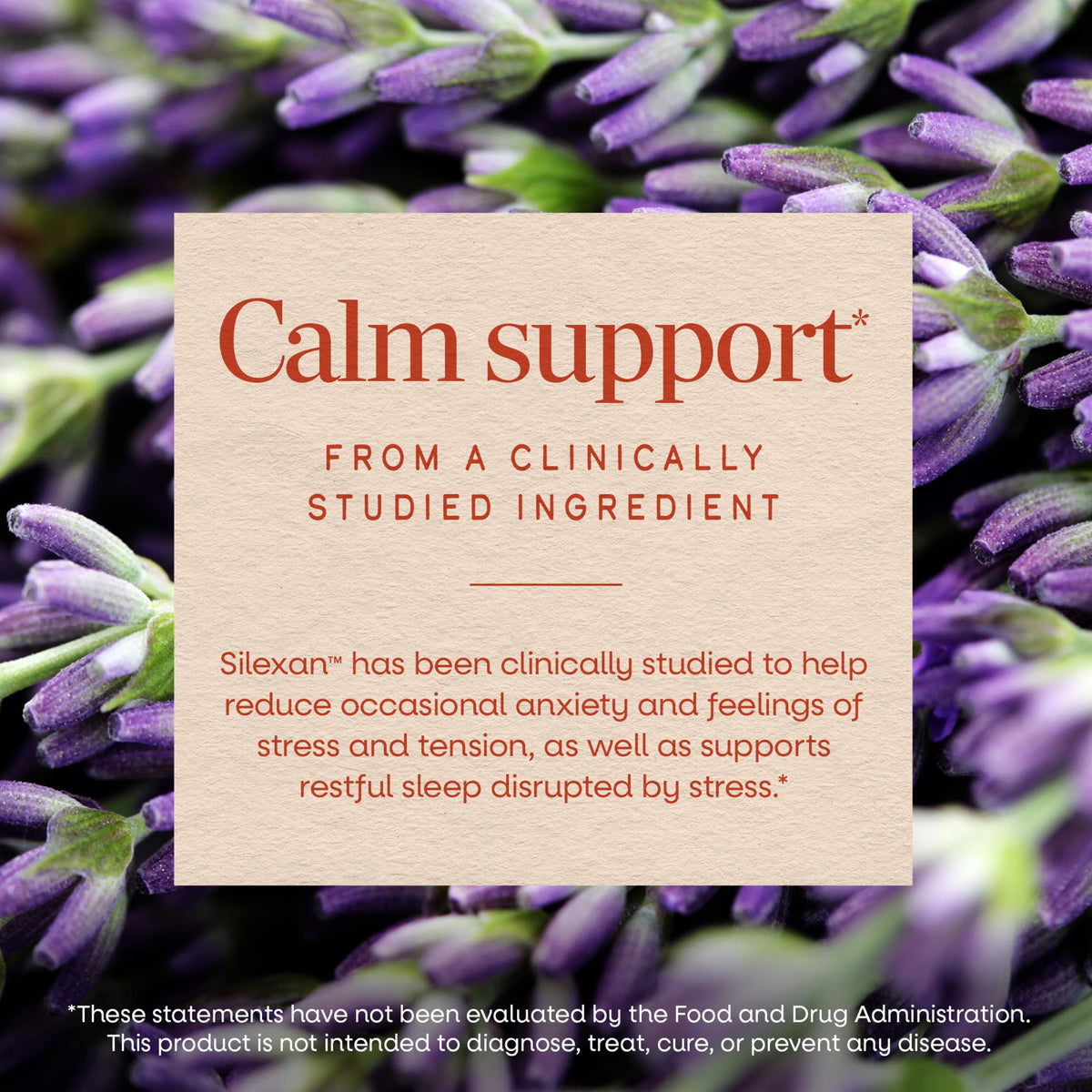 Lavender Oil Supplement 30 ct G7148