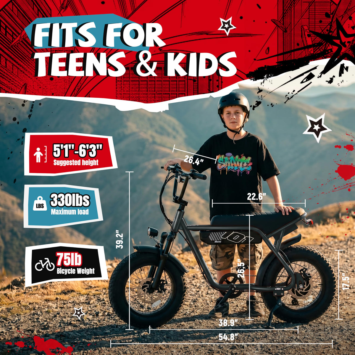 Electric Bike E405076